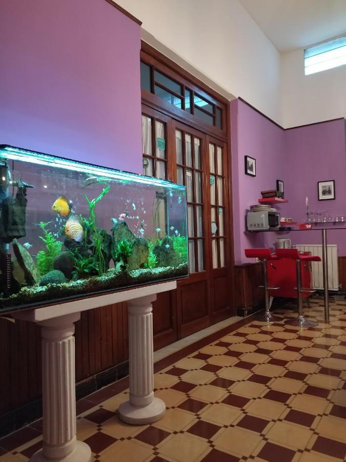 Cane B&B Montevideo Zewnętrze zdjęcie