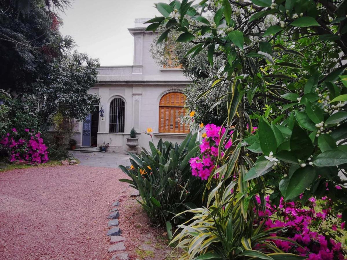 Cane B&B Montevideo Zewnętrze zdjęcie